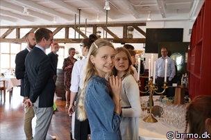 Miniature af billede nummer 12856