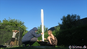 Miniature af billede nummer 12875