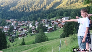 Miniature af billede nummer 12882