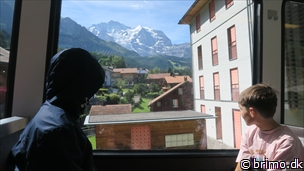 Miniature af billede nummer 12883