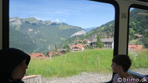 Miniature af billede nummer 12884