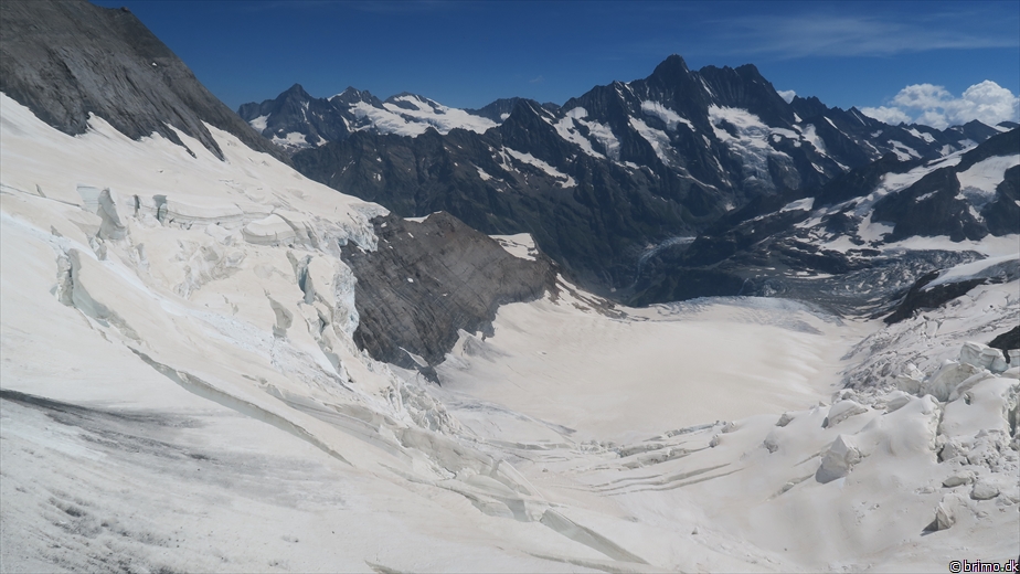 Billede nummer 12886