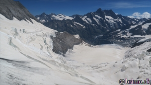 Miniature af billede nummer 12886