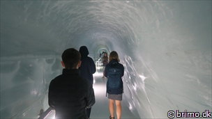 Miniature af billede nummer 12890