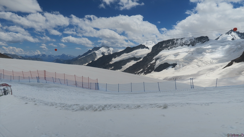 Billede nummer 12893