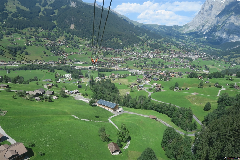 Billede nummer 12895