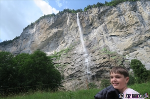 Miniature af billede nummer 12898