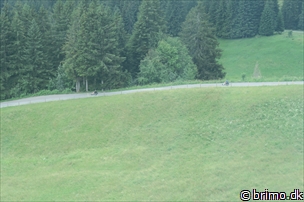 Miniature af billede nummer 12909