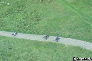 Miniature af billede nummer 12910