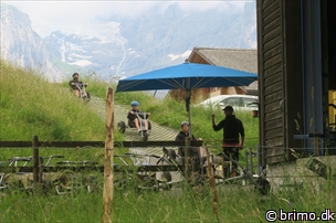 Miniature af billede nummer 12911