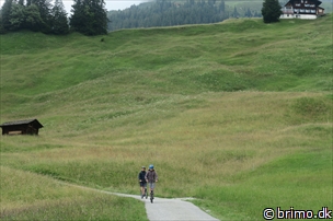 Miniature af billede nummer 12913