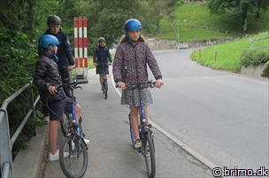 Miniature af billede nummer 12915