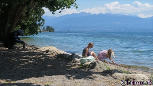 Miniature af billede nummer 12919