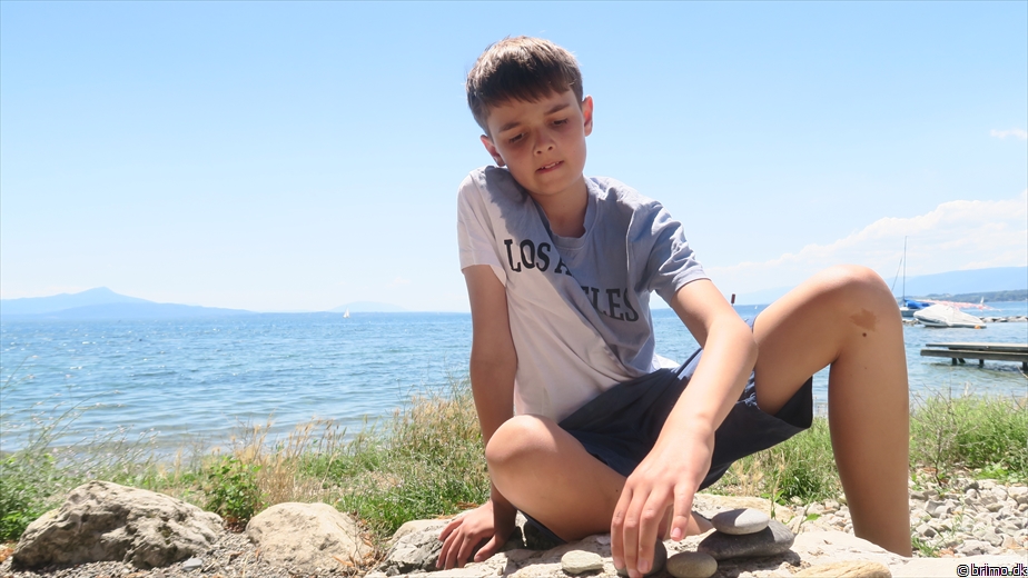 Billede nummer 12920