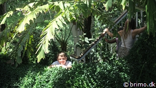 Miniature af billede nummer 12929