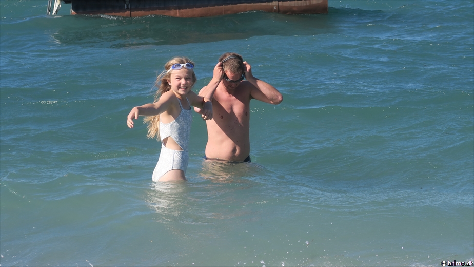 Billede nummer 12931