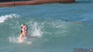 Miniature af billede nummer 12932