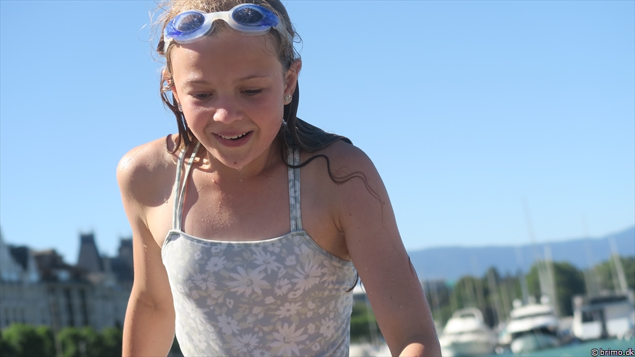 Billede nummer 12933