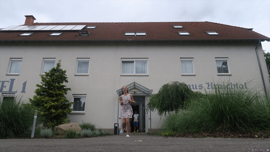 Billede nummer 12938