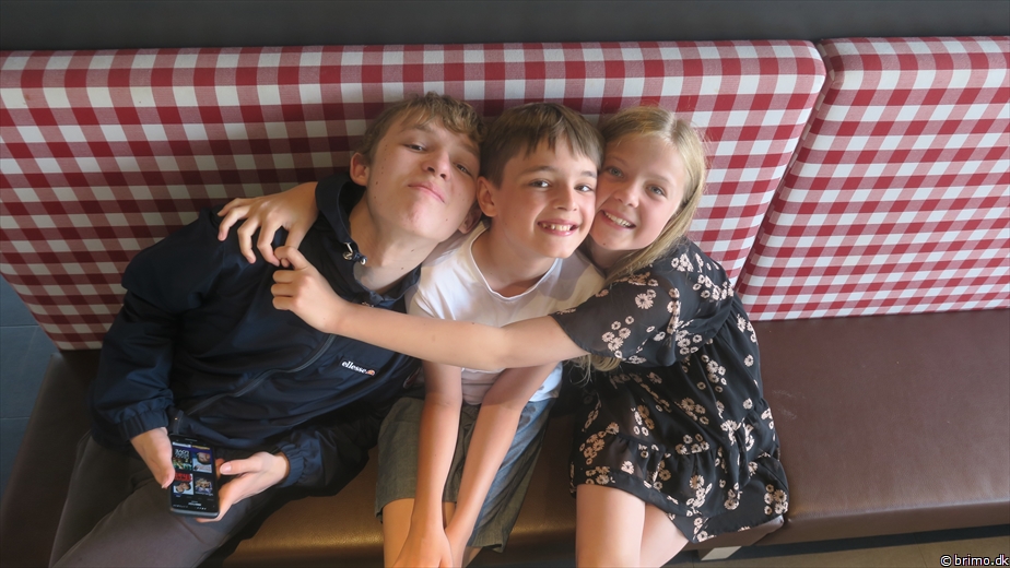 Billede nummer 12942