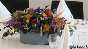 Tilfældigt billede fra August 2022