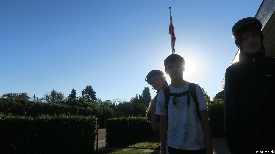 Billede nummer 12965