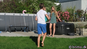 Miniature af billede nummer 12968