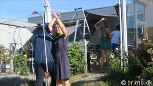 Miniature af billede nummer 12969