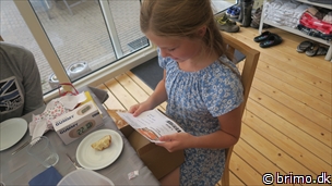 Miniature af billede nummer 12978