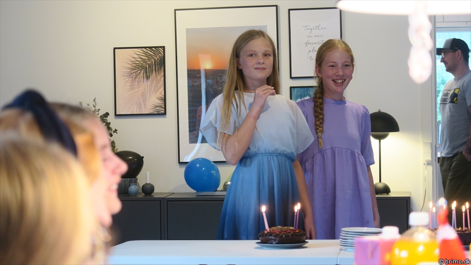 Billede nummer 12987