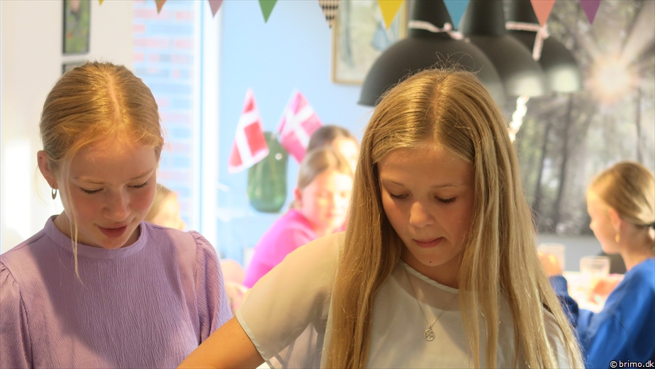 Billede nummer 12988