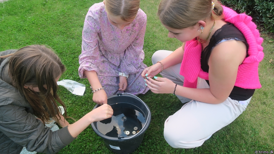 Billede nummer 12989