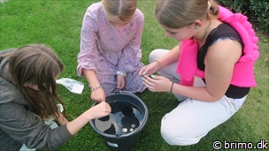 Miniature af billede nummer 12989