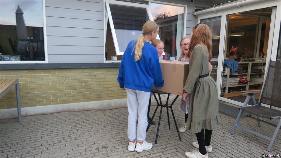 Billede nummer 12990