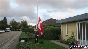 Miniature af billede nummer 12991