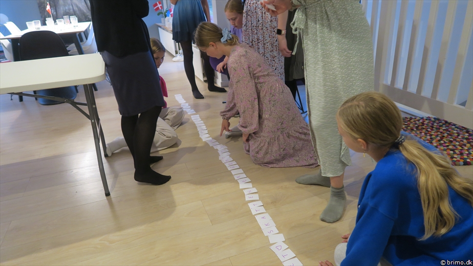 Billede nummer 12993