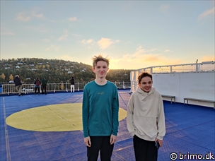 Miniature af billede nummer 13006