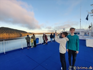 Miniature af billede nummer 13007