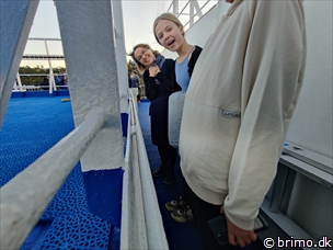 Miniature af billede nummer 13008