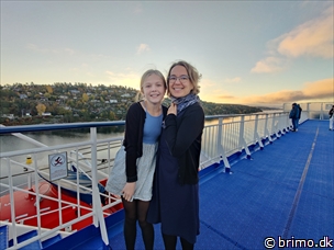 Miniature af billede nummer 13009