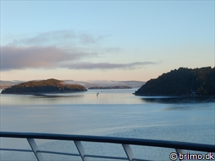 Miniature af billede nummer 13011