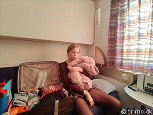 Miniature af billede nummer 13012