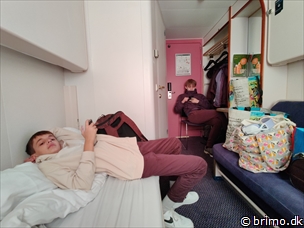 Miniature af billede nummer 13013