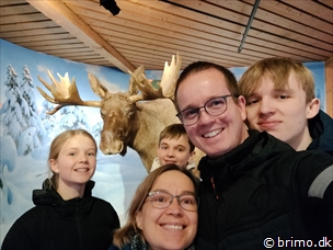 Miniature af billede nummer 13015