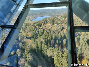 Miniature af billede nummer 13016