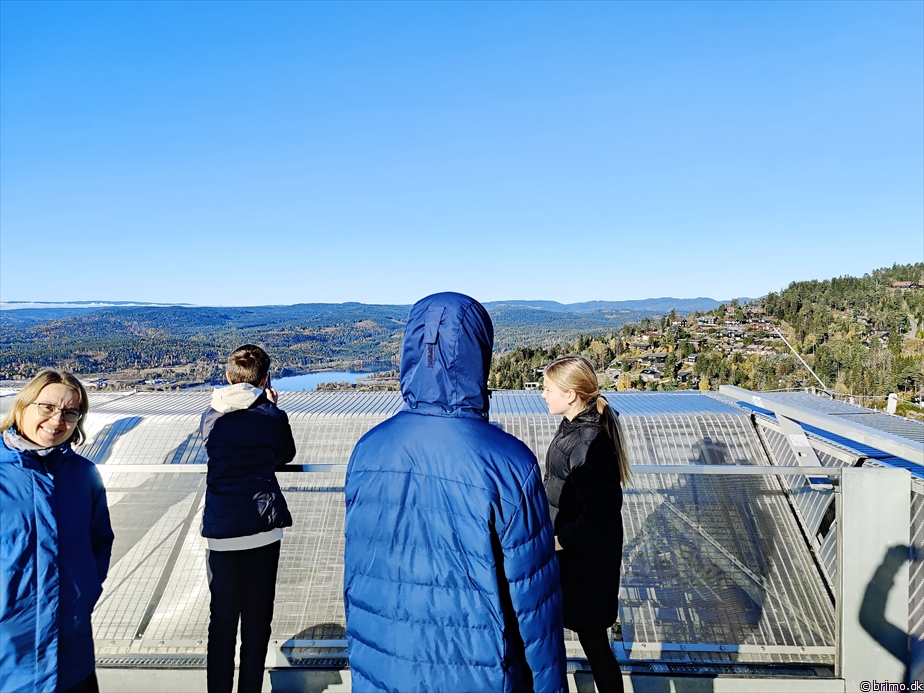 Billede nummer 13017