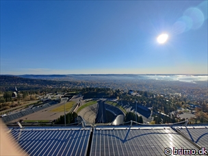 Miniature af billede nummer 13018