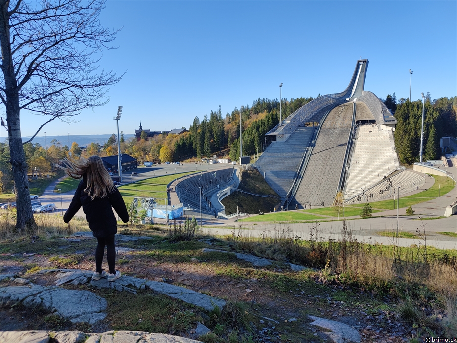 Billede nummer 13022