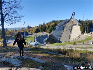 Miniature af billede nummer 13022