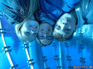 Miniature af billede nummer 13023